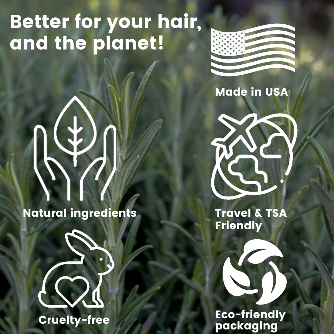 Pure Rosemary Natural Shampoo Bar - Volumizing, Strengthening, Thickening Solid Hair Growth Soap, Made in USA with Rice Protein, Caffeine, Castor Oil, and Ginger, Organic for Women, Men