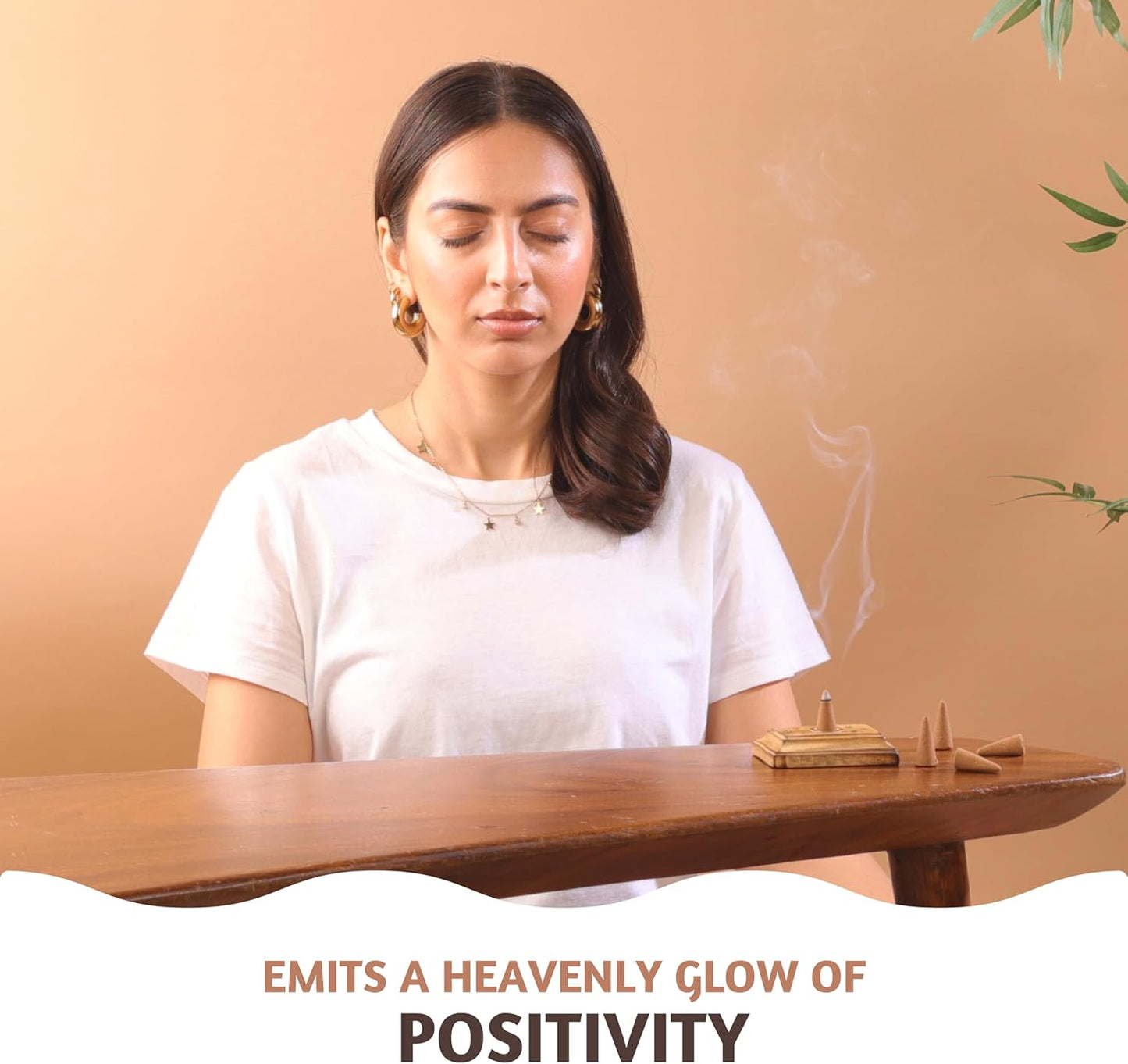 Folkulture Incense Cones Scented, Set of 2 Frankincense & Sandalwood Inscents-Cones (30 Cones), Variety Pack of Insence Cones for Relaxation, Aromatherapy & Air Purification