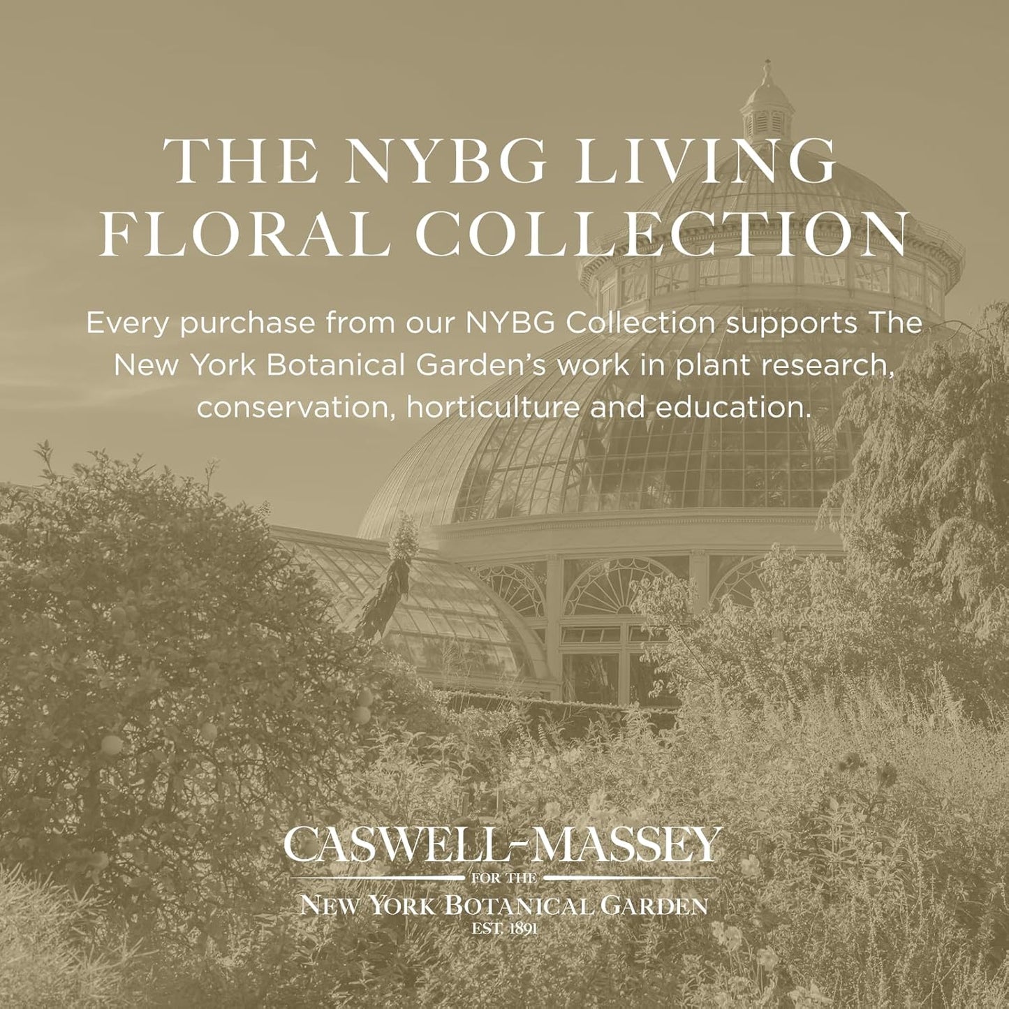 Caswell-Massey Honeysuckle Natural Bar Soap for Women, Moisturizing Body Soap Bar for All Skin Types, Made with Essential Oils & Plant-Based Formula for Soft Skin, 3.5 oz