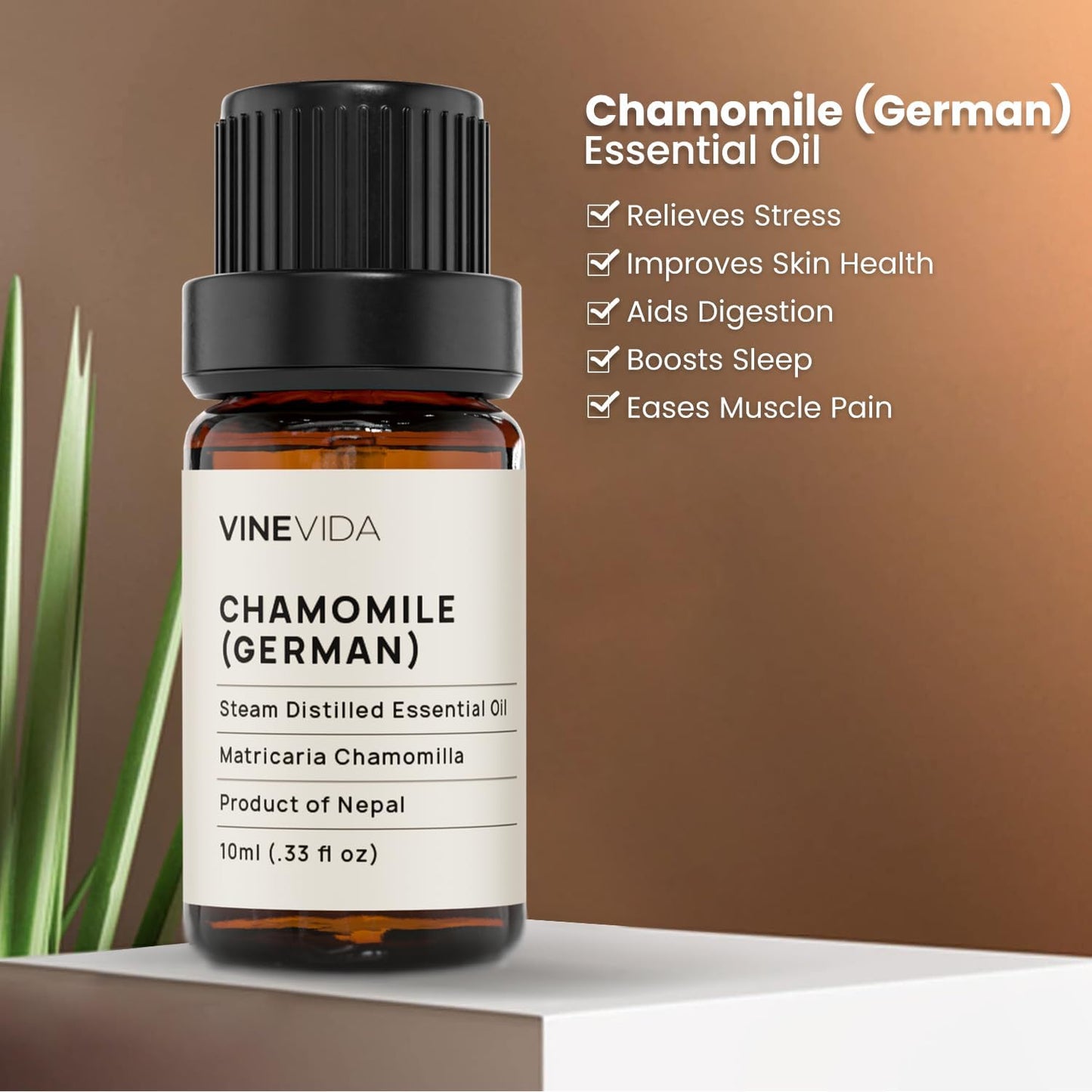 VINEVIDA Chamomile German Essential Oil 10 mL - Undiluted Chamomile Oil 10 mL - DIY Candle Scents for Candlemaking - 10 mL Essential Oil for Soap Making Safe for Skin (4OZV-OBP-CHA-GER-10ML)