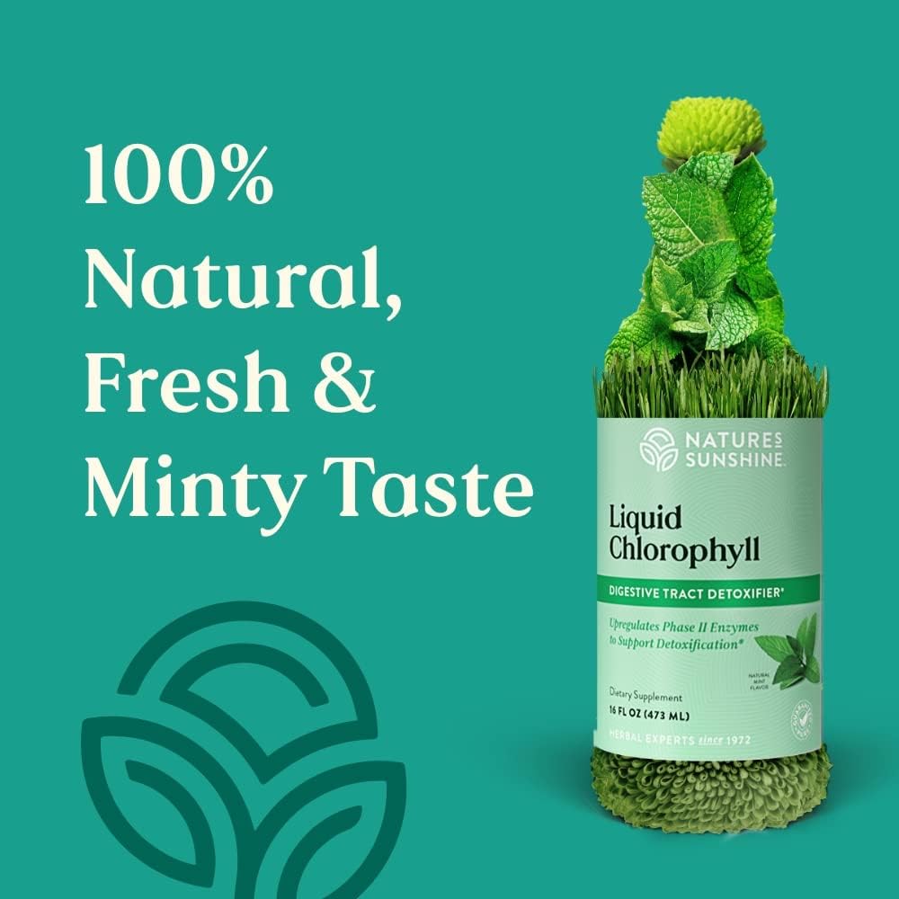 Nature's Sunshine Liquid Chlorophyll - Immunity Support, Detox & Cleanse, Chlorophyll Liquid Drops with Spearmint Oil, Natural Energy Boost, Internal Deodorant - 16 Fl Oz