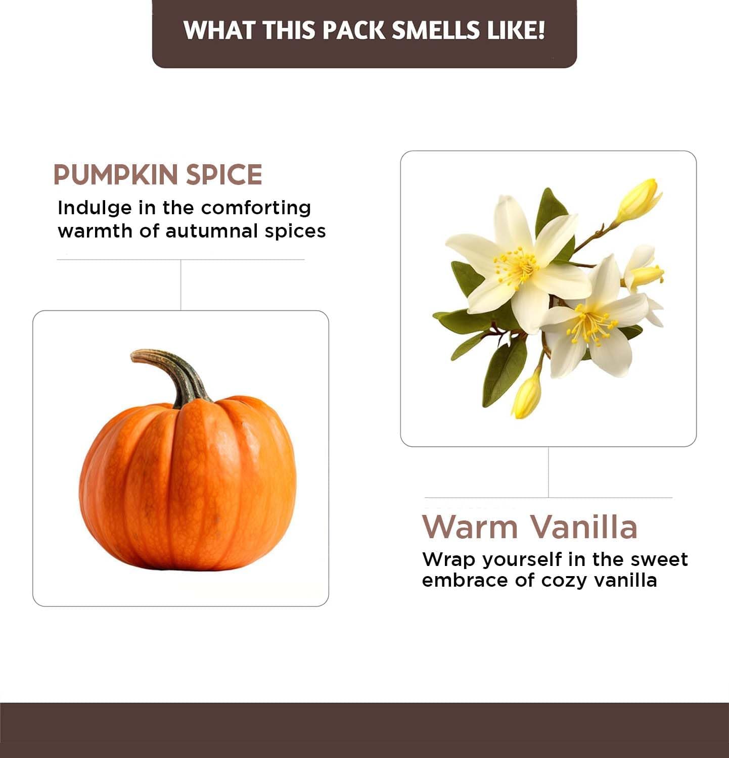 Folkulture Incense Cone Scented | Set of 2 (30) Fall Incense Cones, Dual Set | Pumpkin Spice Inscents, Fall Scents or Inscents-Cones for Relaxation | Fall Essentials for Meditation