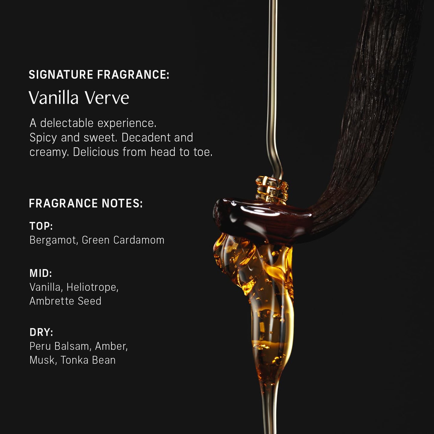 Nutrient Rich Body Cream. Vanilla Verve Nourishing Moisturizer with Niacinamide and Banana Flower Extract. Deep Hydration, Thick Body Lotion, Dry Skin Cream for Women and Men, 8 Fl Oz