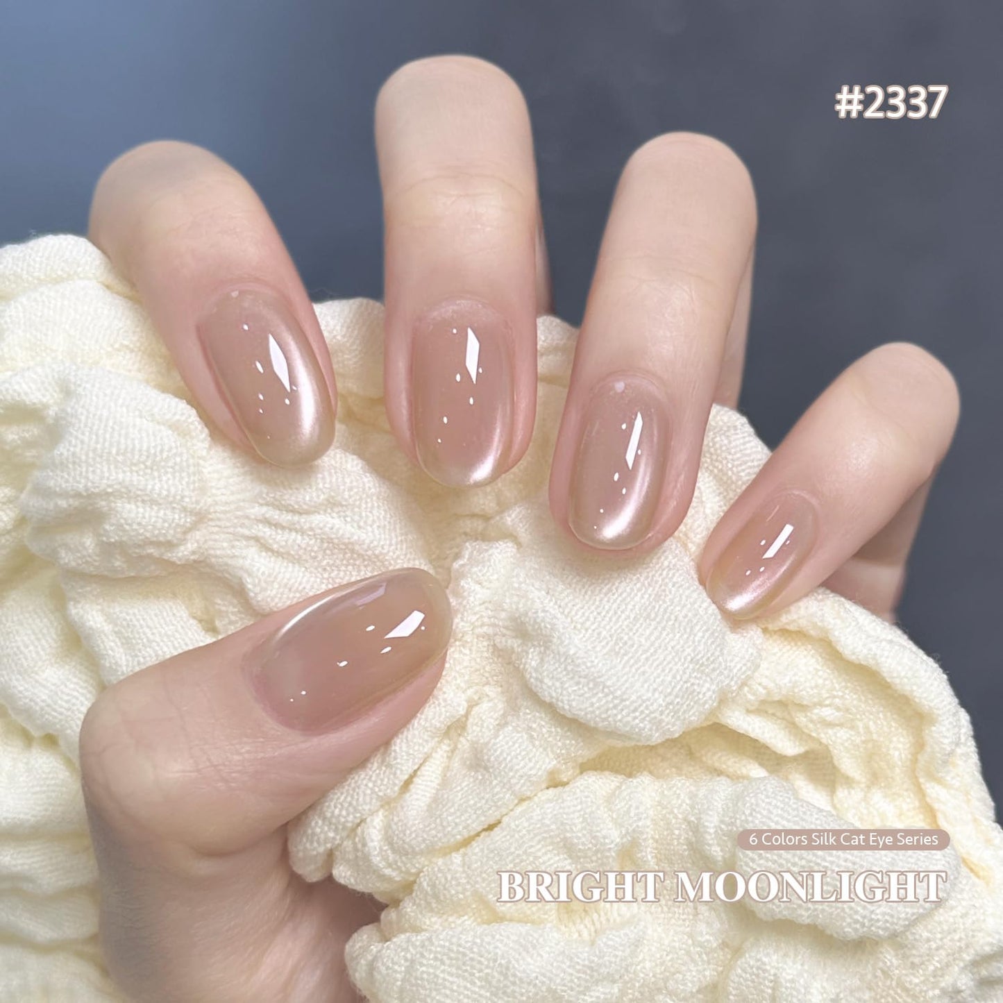 GAOY Cat Eye Gel Nail Polish Set with Magnet for Pink Brown Glitter Holographic Cat Eye, Salon Gel Manicure and Nail Art DIY at Home, Bright Moonlight