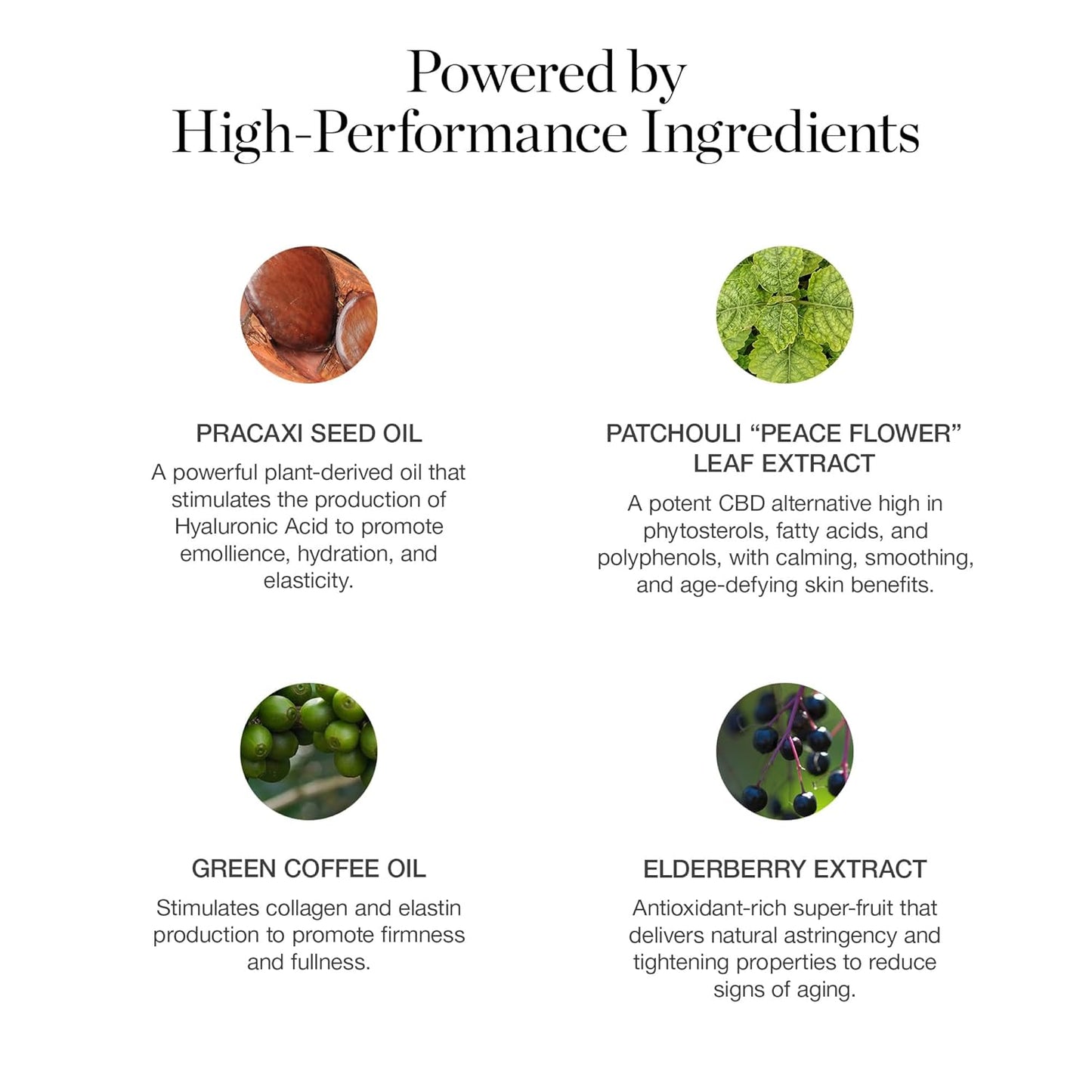 Ogee Sculpted Complexion Foundation Stick (Linden 1.25N Light Beige, Neutral Undertones) Full Coverage Foundation Makeup - Instantly Balance & Even Complexion - 70% Organic Ingredients