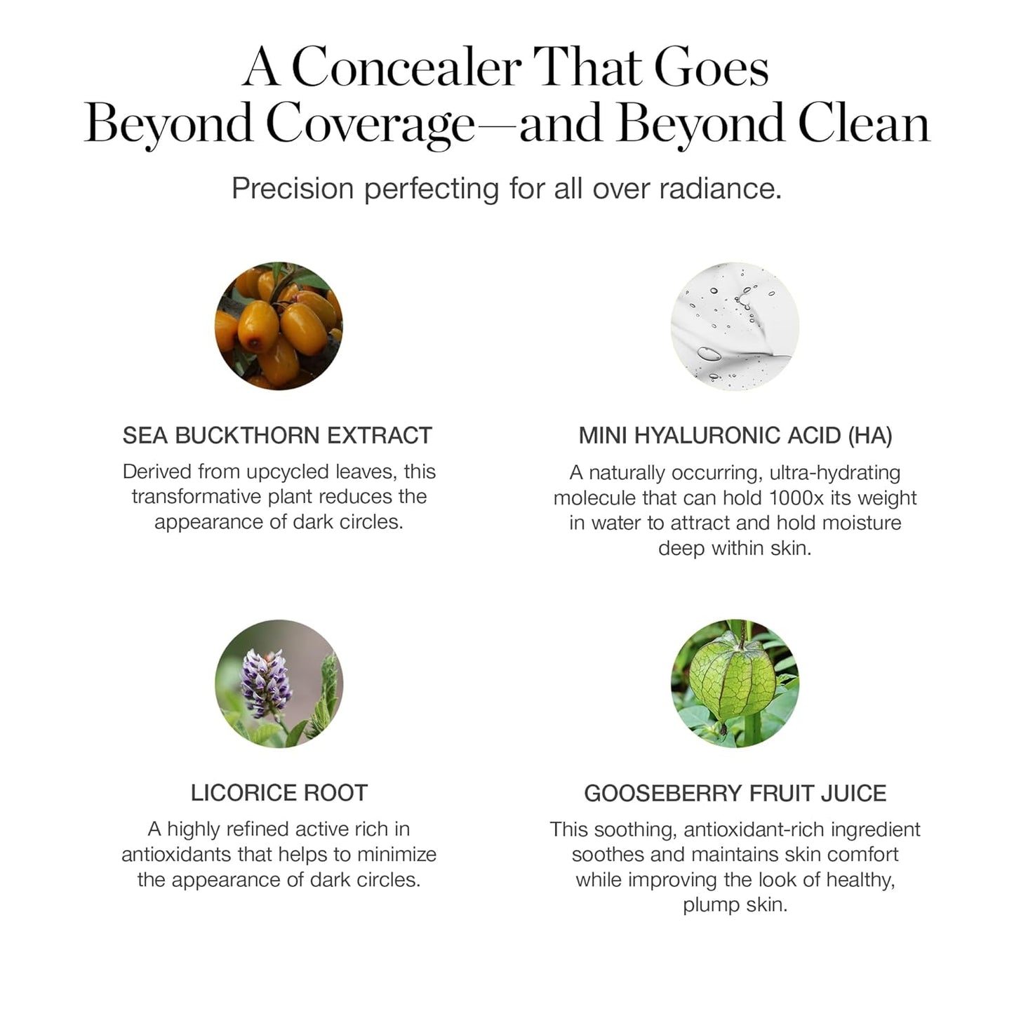 Ogee Complexion Perfecting Under Eye Concealer - Certified Organic Full Coverage Concealer - Buildable Coverage - GINGKO 5.00N - Medium Tan (Neutral Undertones)