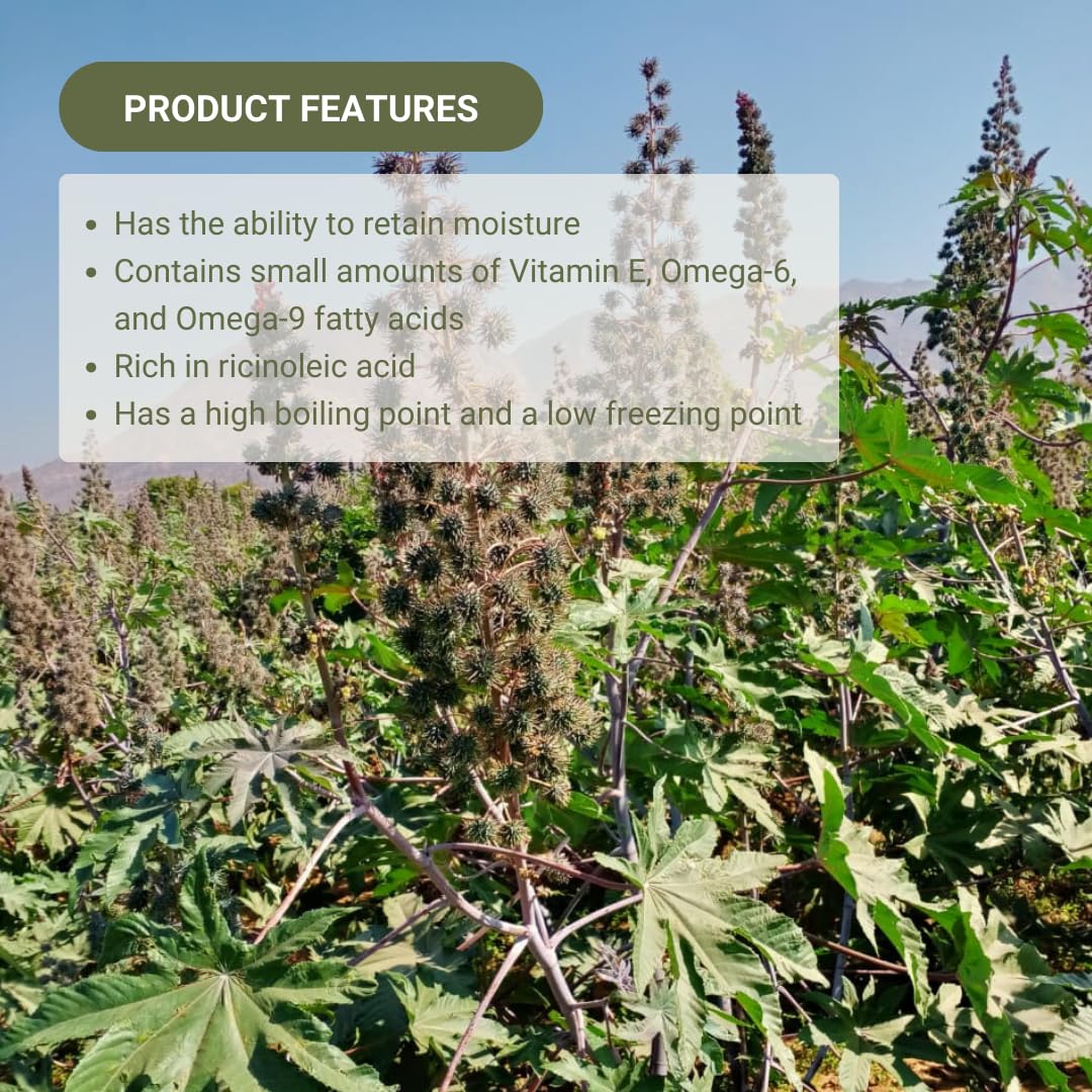 Organic Castor Oil Direct From India - Cold Pressed Castor Oil For Face - Hexane Free (1 Gallon)