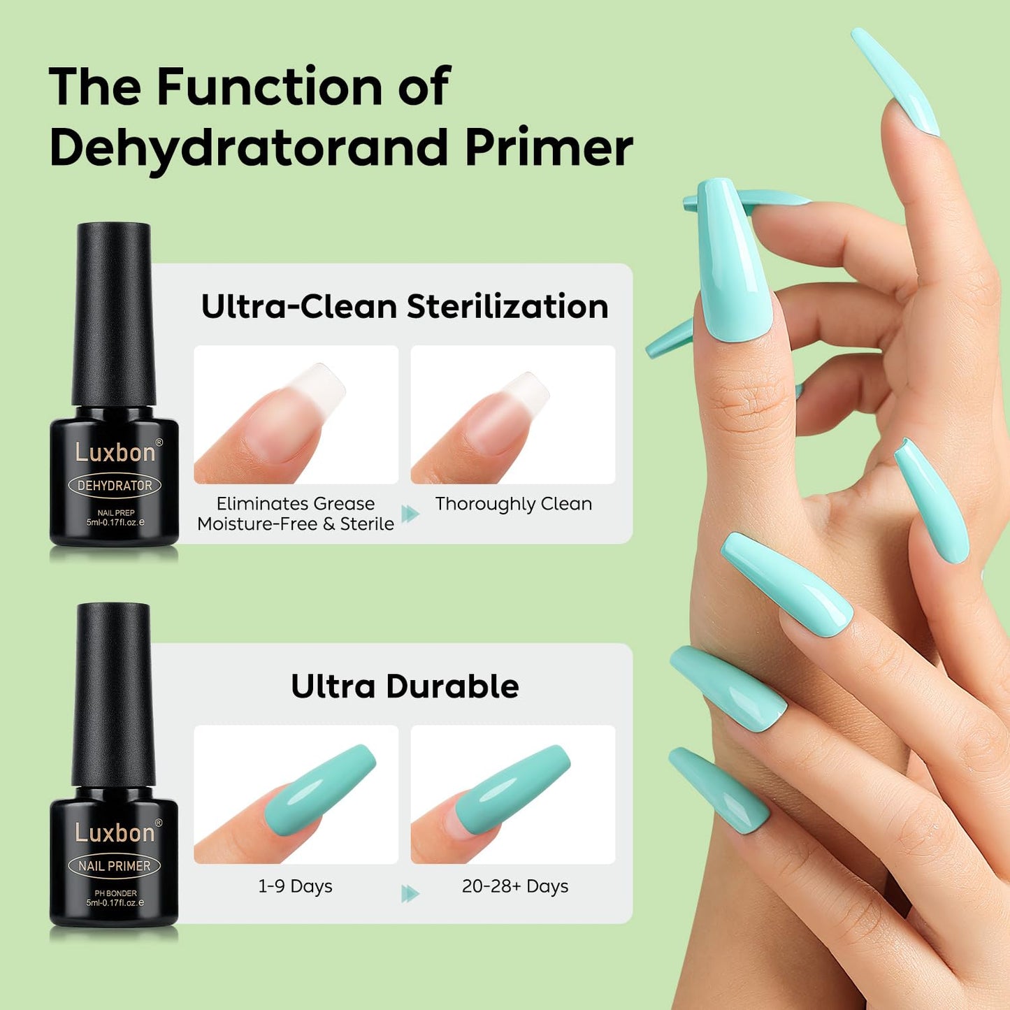 Luxbon 6 Pcs 5ml No Wipe Gel Top Coat and Base Coat Set - Cuticle Oil, Nail Primer Dehydrator, Matte Top Coat, Long Lasting, Shine Finish, UV LED Nail Lamp Soak Off Gel Base Top Coat Manicure