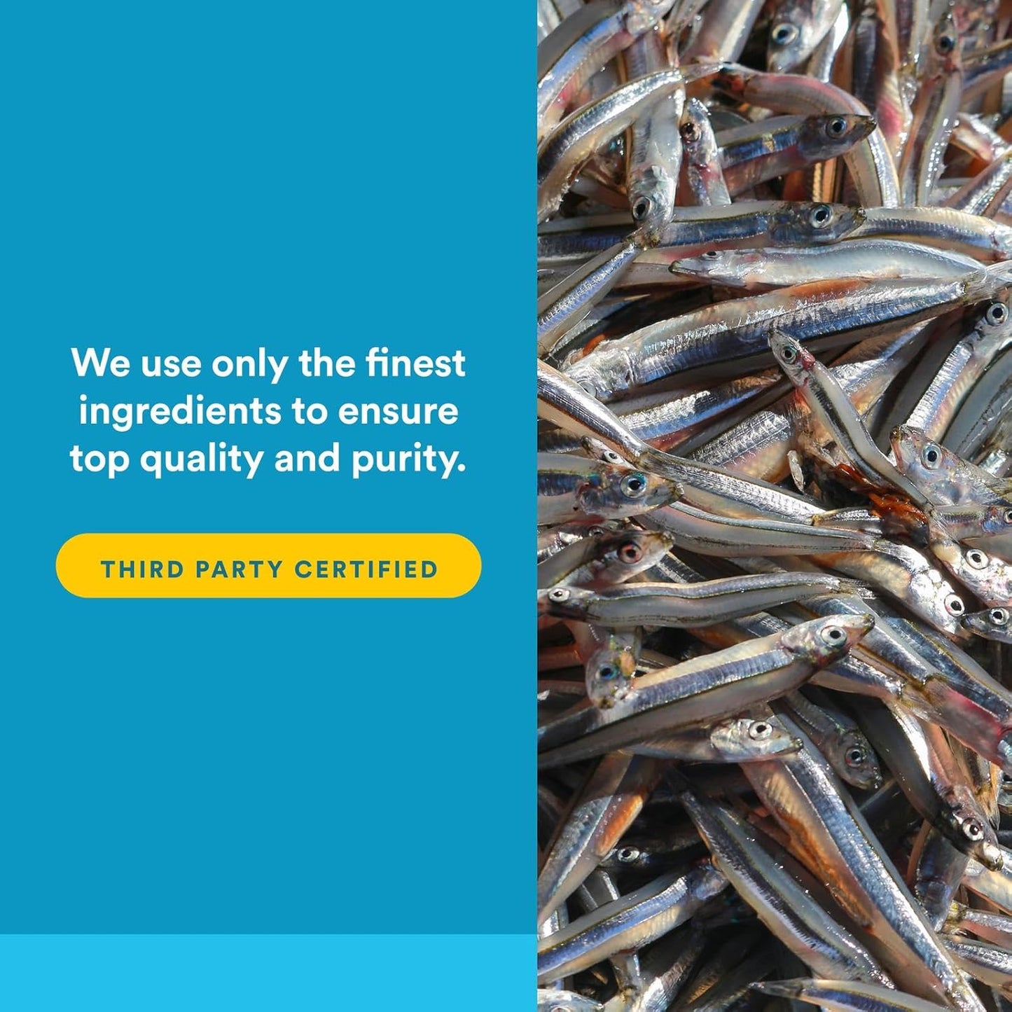 Natural Factors RxOmega-3, Natural Support for Heart Health with DHA and EPA, Daily Dietary Supplement, 60 Softgels