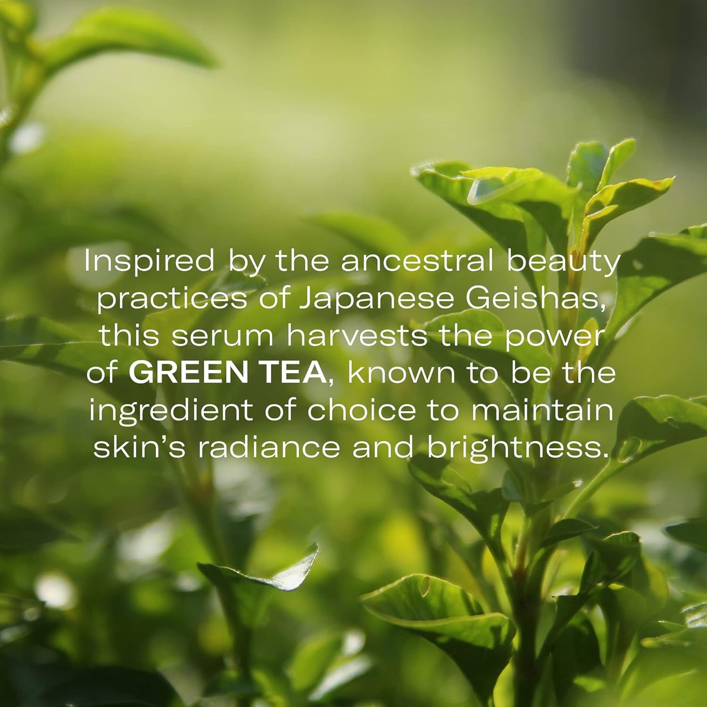 Odacité Brightening Serum Concentrate with Green Tea + Lemongrass for Radiant Skin - Lightweight, Hydrating & Brightening Anti-Aging Facial Oil Concentrate for Sluggish & Lackluster Skin - 0.17 fl. oz