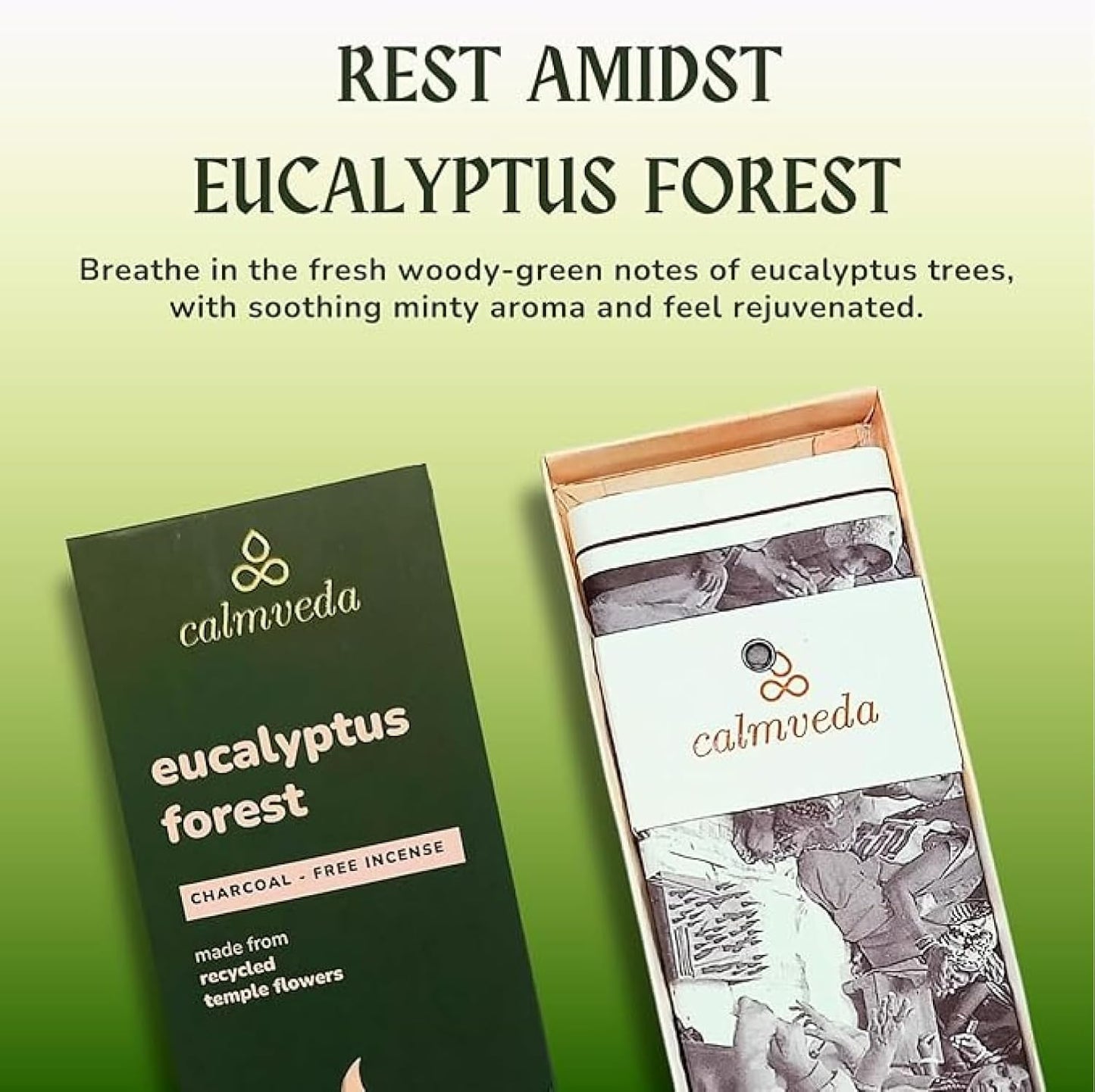 Forest Eucalyptus Incense Sticks - 80 Charcoal Free Incense Sticks, Made from Upcycled Flowers | Crisp, Refreshing Aroma of Rainforest, Transports You to Eucalyptus Forest
