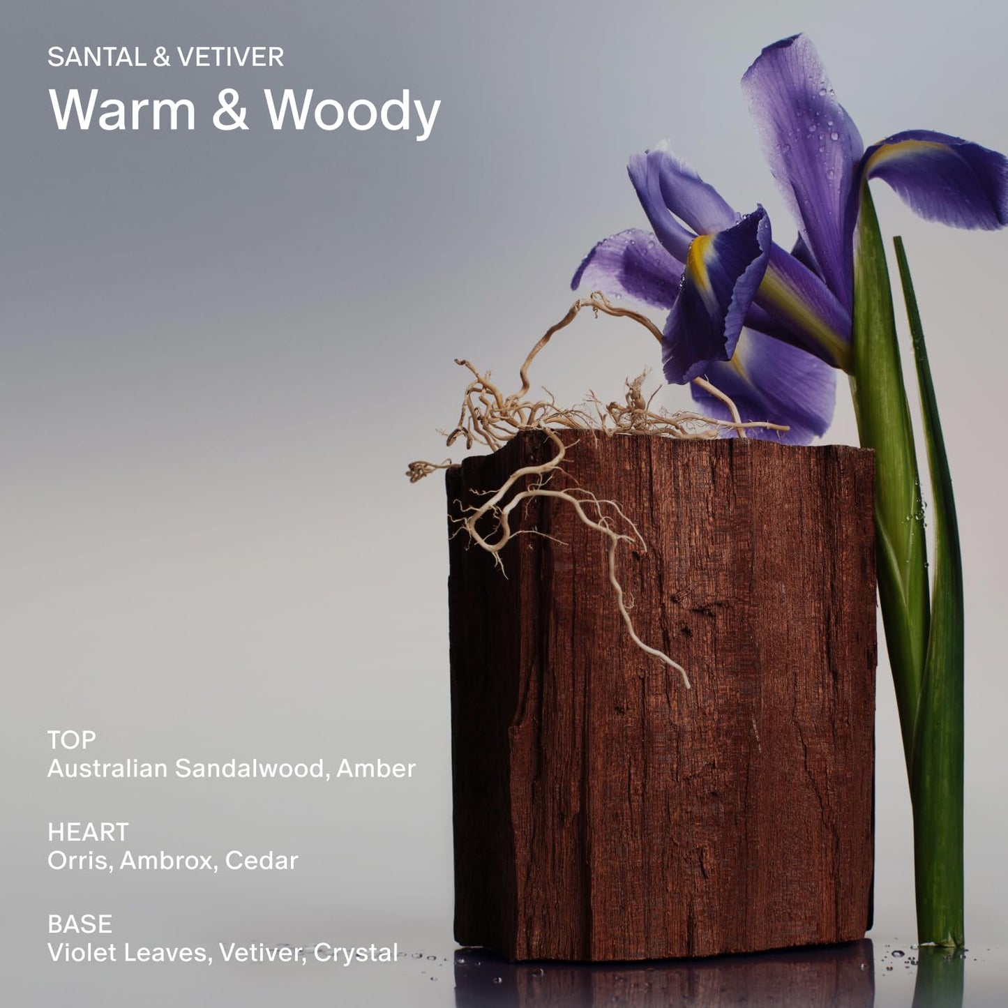 Salt & Stone Body Wash with Antioxidants for Deep Moisture | For Women & Men, Sulfate, Paraben, & Dye Free, Leaving Skin Soft and Hydrated | Santal & Vetiver 32 fl oz