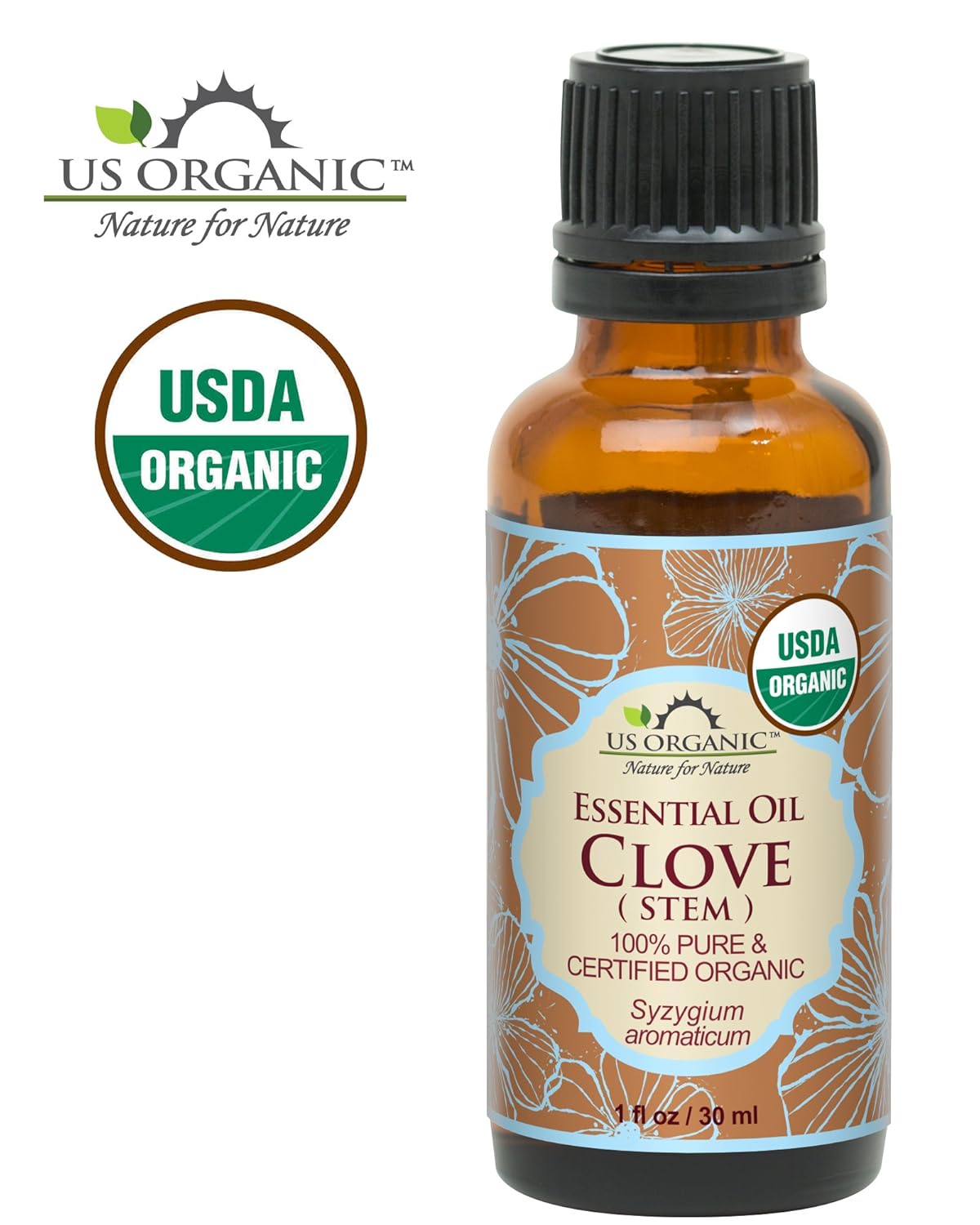US Organic 100% Pure Clove Stem Essential Oil - USDA Certified Organic, Steam Distilled (30 ml)