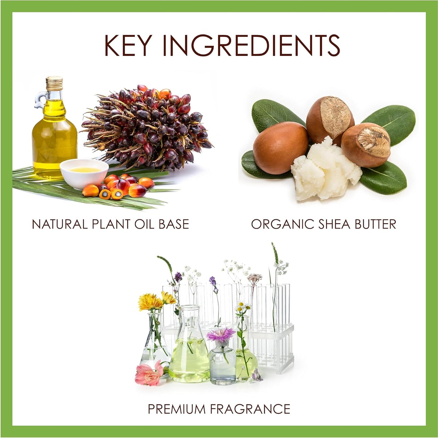 BELA Pure Natural Soap - Honeysuckle Scent - 3.3 oz Pack of 6, Long Lasting Triple Milled French Soap Enriched with Organic Shea Butter, Rich Creamy Lather, Made in Australia