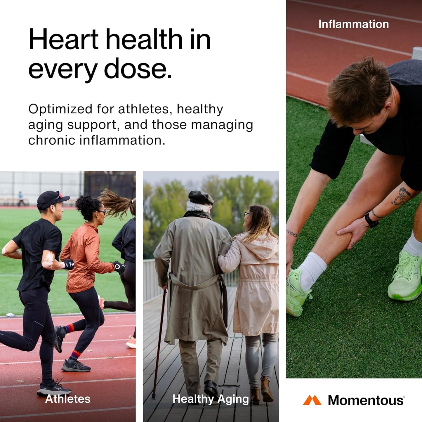 Momentous Omega-3 Fish Oil - High-Potency EPA & DHA Supplement for Men & Women - Supports Heart, Joint, & Brain Health - NSF Certified for Sport - Non-GMO - Gluten-Free - 1,600 mg - 30 Servings