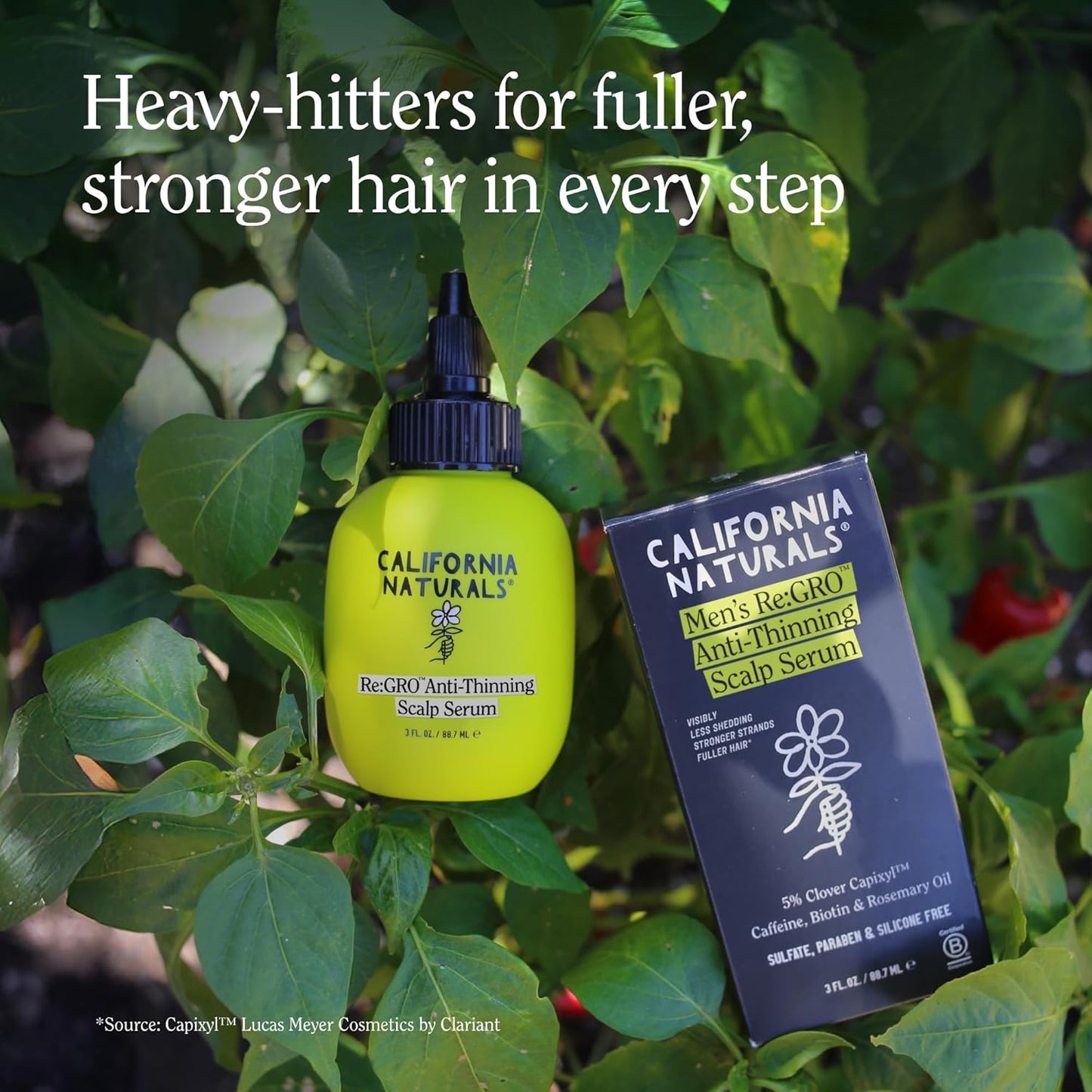 California Naturals Men's Re: Gro Anti-Thinning Scalp Serum, 5% Capixyl with Biotin, Caffeine & Castor and Rosemary Oil, Non-Sticky Cooling Formula, Vegan & Cruelty Free, 3oz