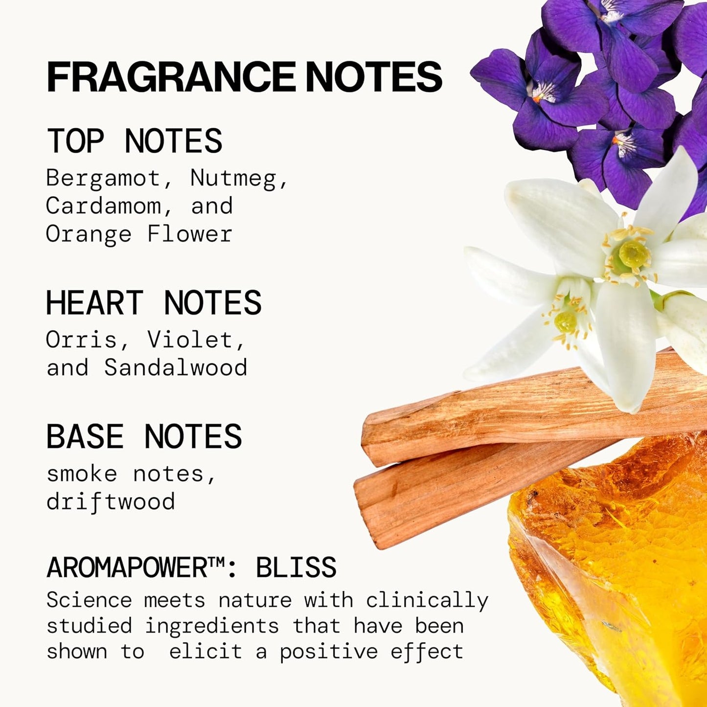 Pacifica Beach Day Spray Perfume, Fragrances, Bliss, Bergamont, Orange Flower, Sandalwood, Amber, Suede Leather, Clean Perfume, Parfum, Eau de Toilette Clean Vegan & Cruelty-Free