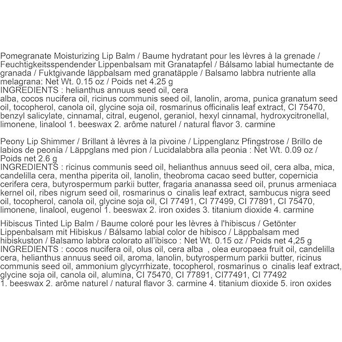 Burt's Bees Mistletoe Kiss Lip Care Stocking Stuffers Holiday Gift Set, Mistletoe Kiss Set, Pomegranate, Peony & Hibiscus