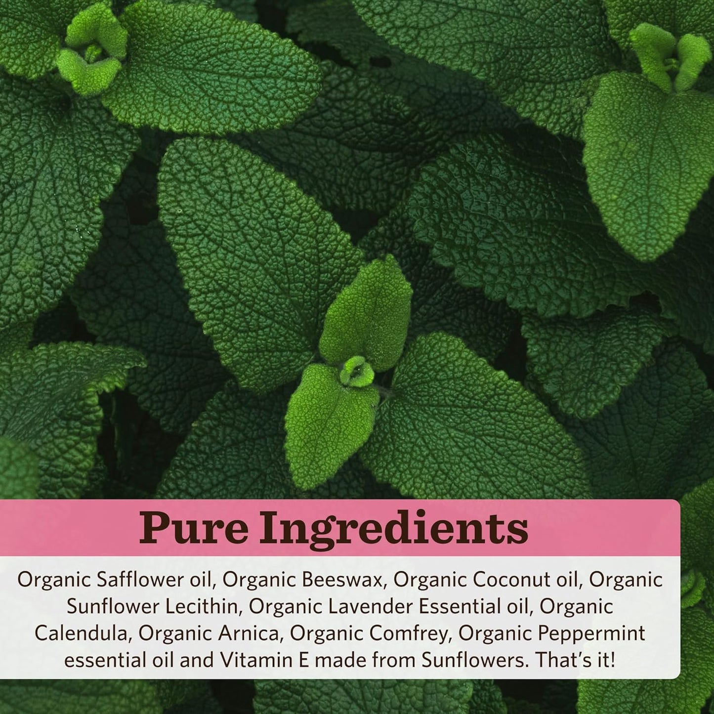 Moon Valley Organics Peppermint Foot Balm – Organic Cooling Foot Rub with Lavender, Arnica and Mint