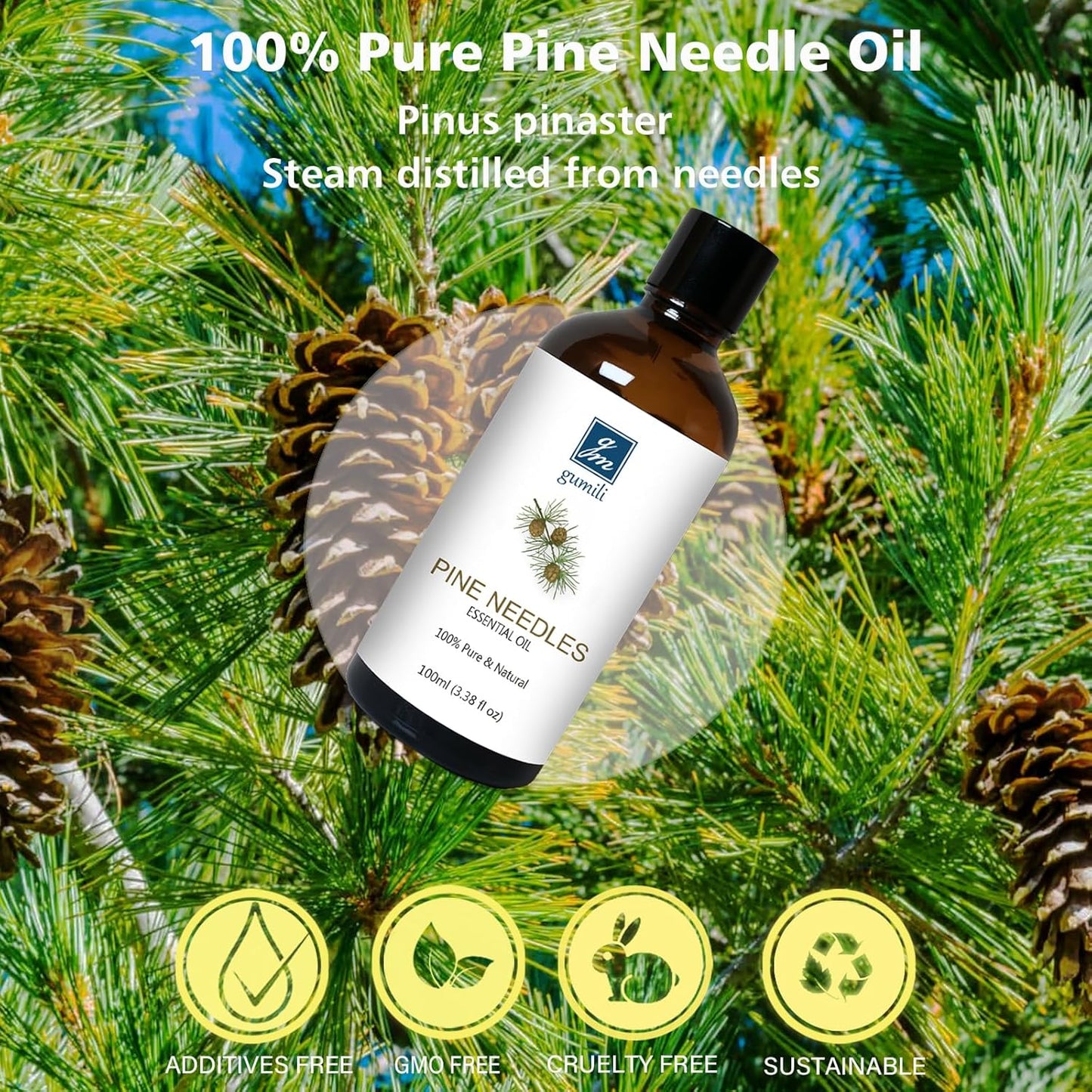 Pine Needle Essential Oil 3.38 Oz - 100% Pure & Natural Pine Oil for Diffuser, Skin, Massage & Aromatherapy - Fresh Pinus Essential Oils Fragrance