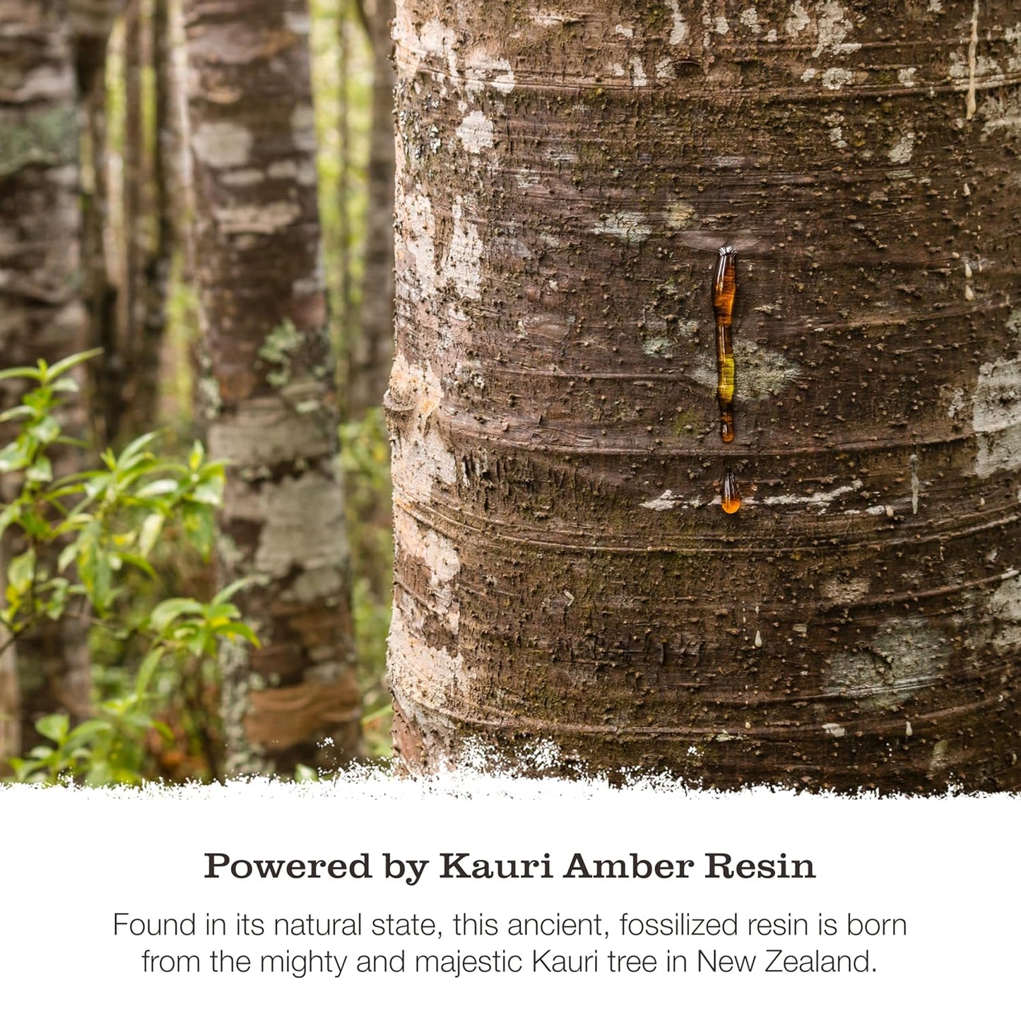 Tweak’d by Nature - 2XL Fiber Lift & Style Volumizing Foam, Styling Foam and Mousse for Hair Volume, Heat Protectant, Hydrating for Long-Lasting Softness, Cruelty Free (5oz)