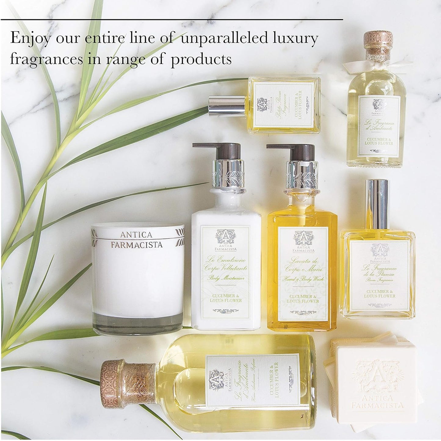 Antica Farmacista Hand Wash -Ironwood, 10 Fl Oz (Pack of 1)